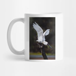 Royal Spoonbill nails the landing Mug